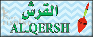 لوجو القرش لتجارة أدوات الصيد - منشأة القناطر بمحافظة الجيزة